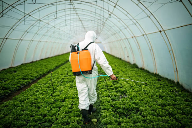 Best Best Pest Control Companies  in Parkland, WA
