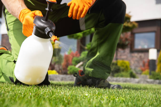 Best Pest Removal Services  in Parkland, WA
