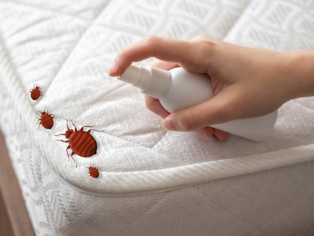 Best Pest Control Cost  in Parkland, WA