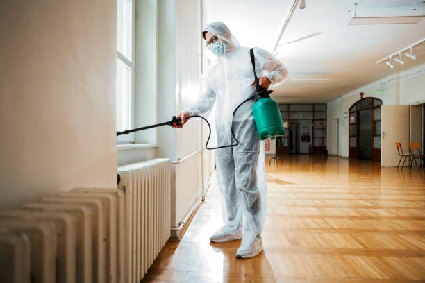 Best Bed Bug Extermination  in Parkland, WA