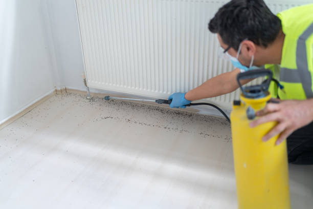 Best Commercial Pest Control Services  in Parkland, WA